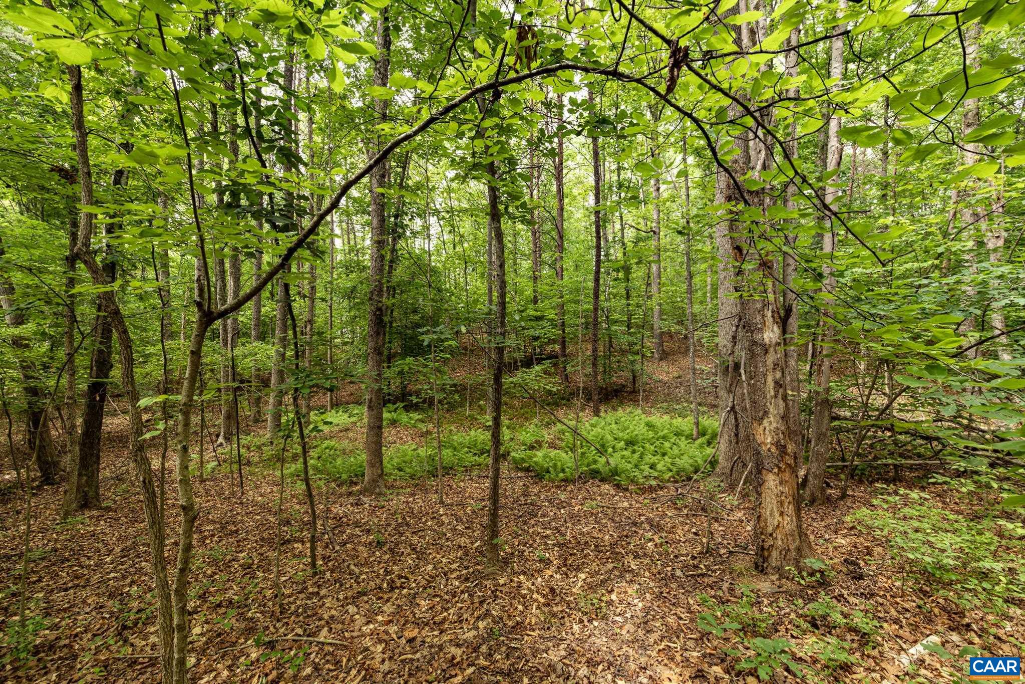 45 GLEN EAGLES DR, GORDONSVILLE, Virginia 22942, ,Land,45 GLEN EAGLES DR,678699 MLS # 678699