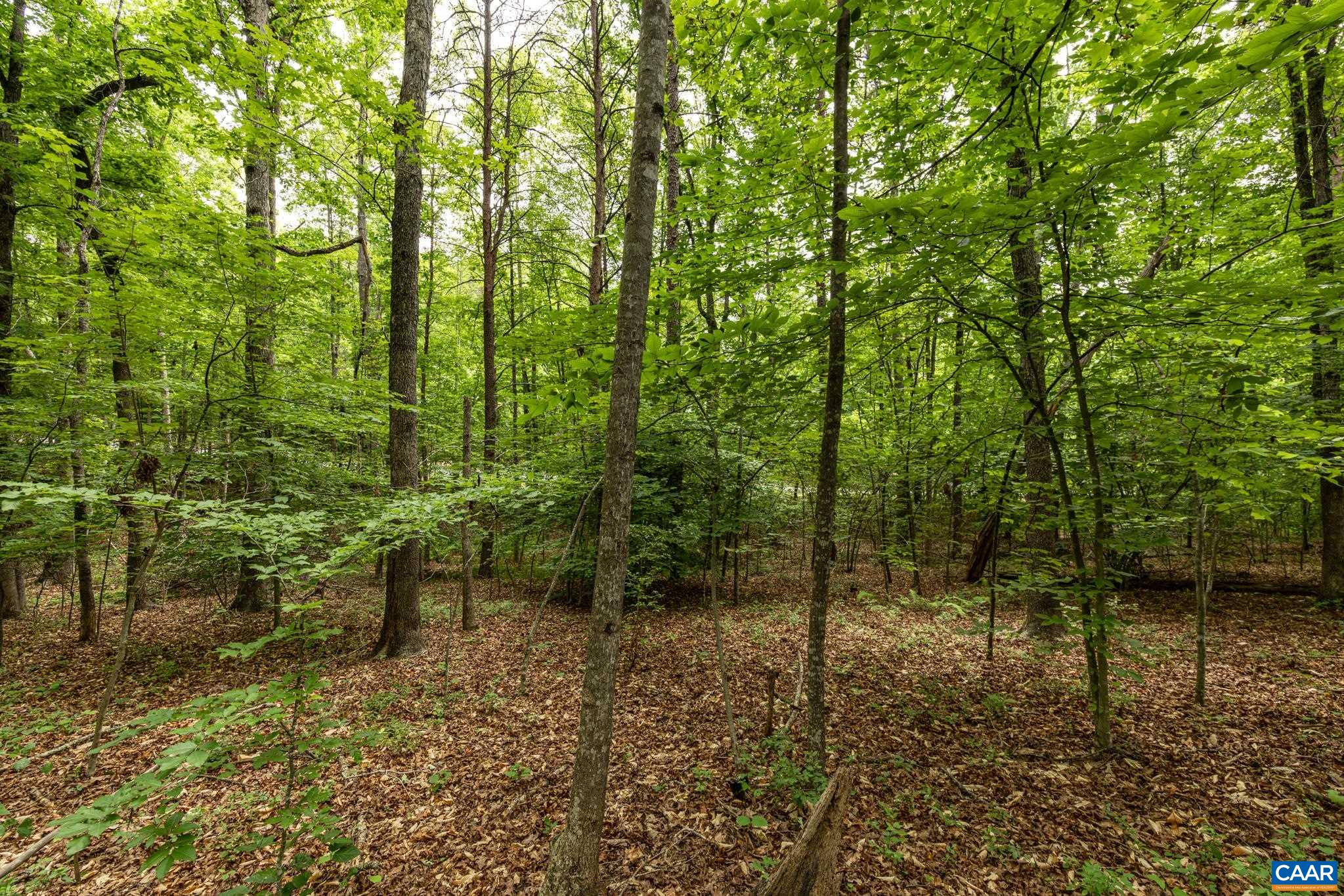 45 GLEN EAGLES DR, GORDONSVILLE, Virginia 22942, ,Land,45 GLEN EAGLES DR,678699 MLS # 678699