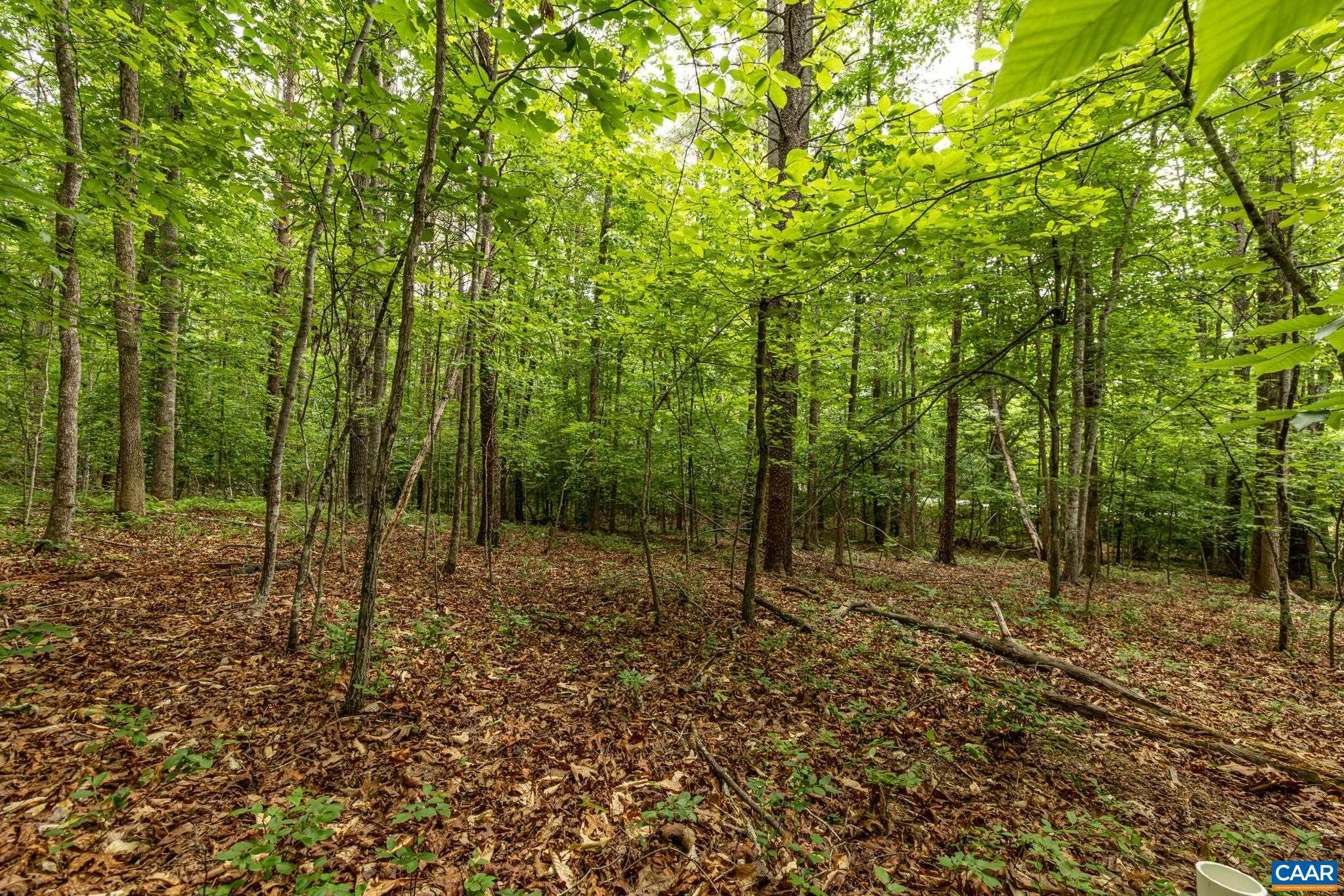 45 GLEN EAGLES DR, GORDONSVILLE, Virginia 22942, ,Land,45 GLEN EAGLES DR,678699 MLS # 678699