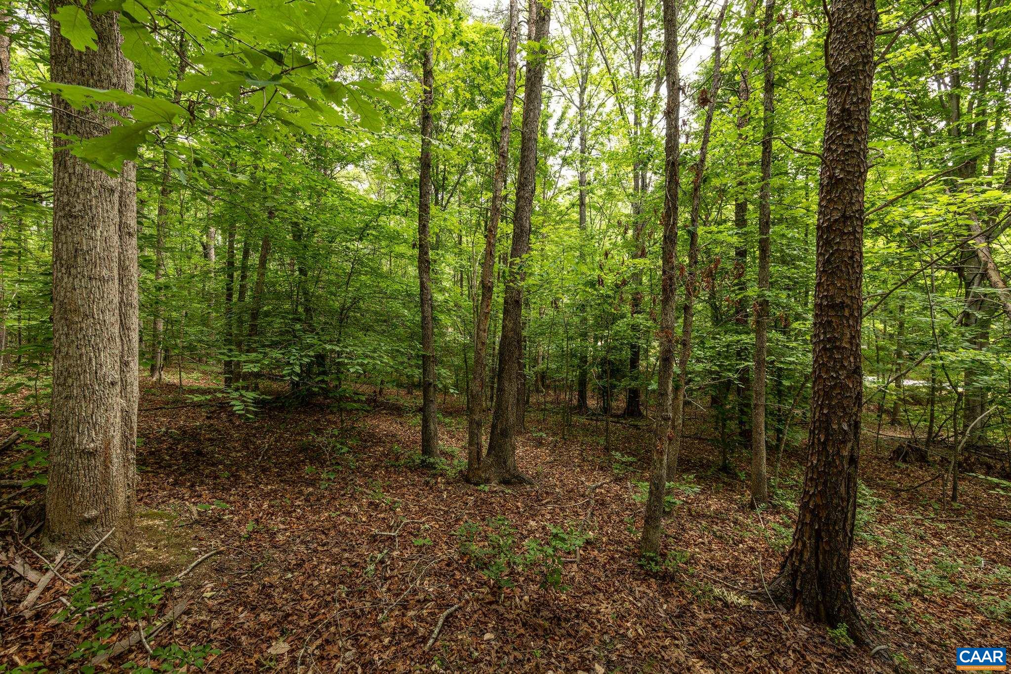 45 GLEN EAGLES DR, GORDONSVILLE, Virginia 22942, ,Land,45 GLEN EAGLES DR,678699 MLS # 678699