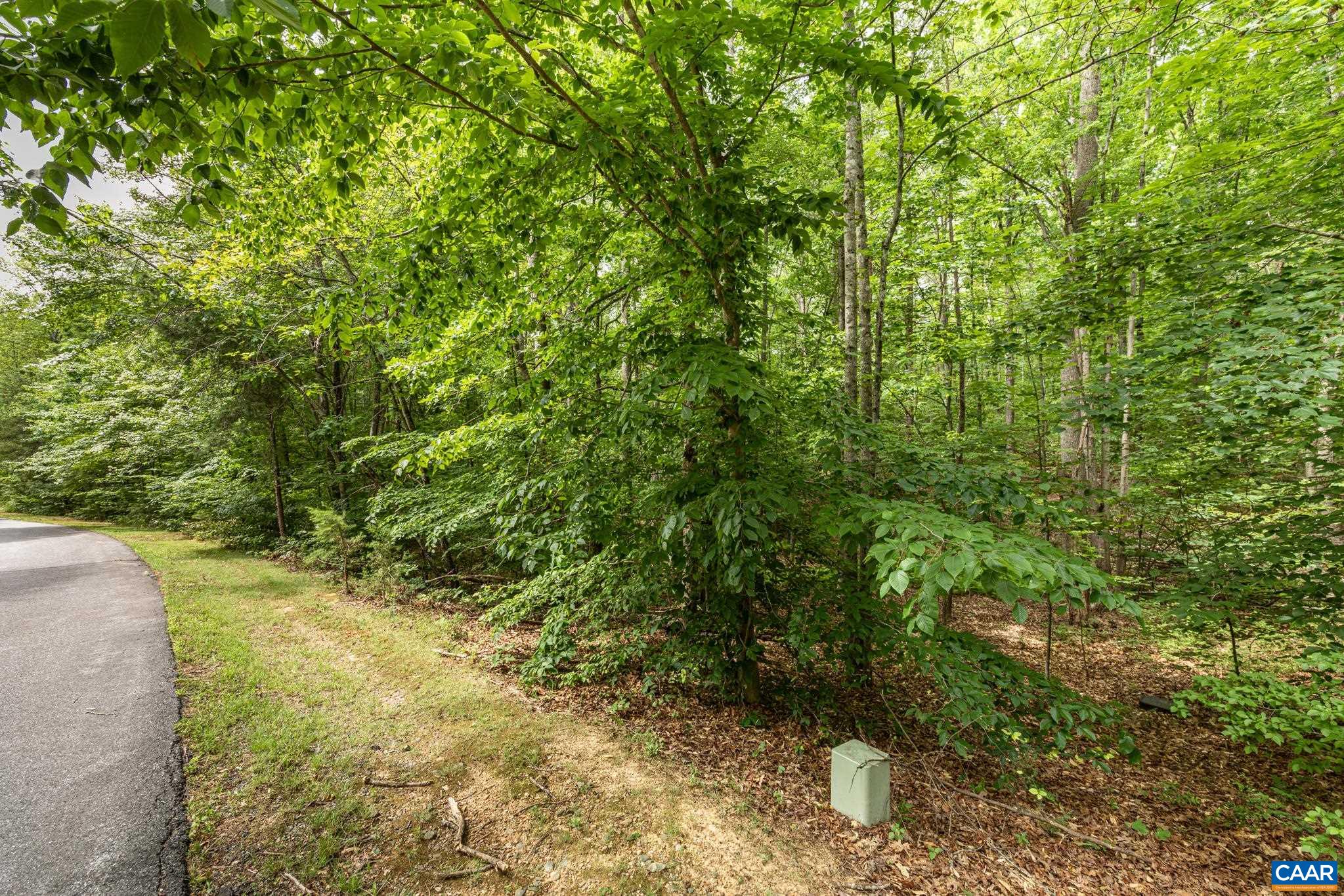 Lot 45 is wooded. But not super thick woods. So easier to prepare it for your dream home to be built.