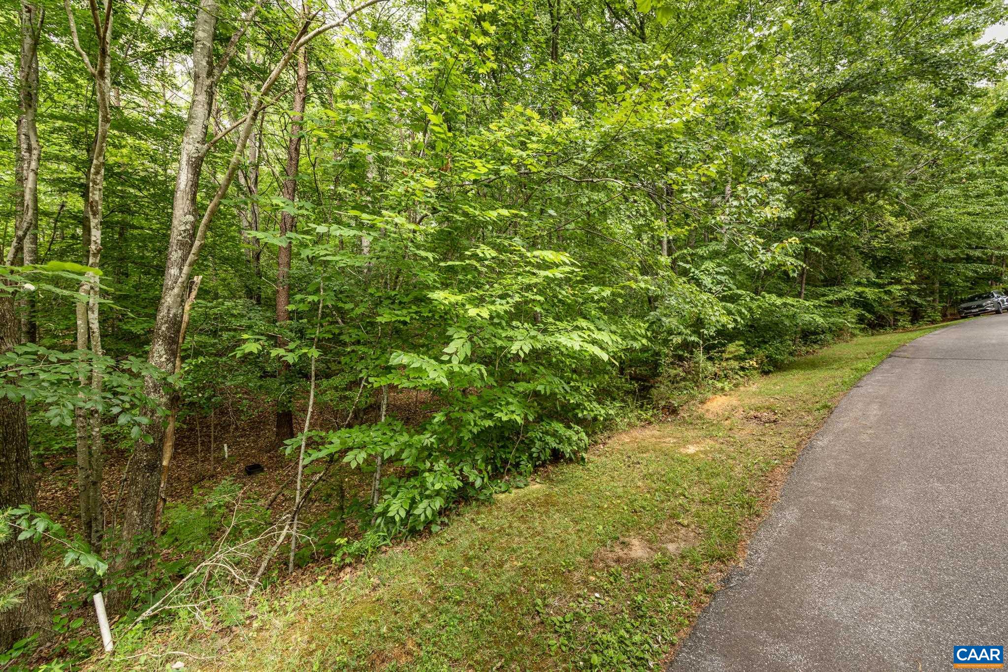 45 GLEN EAGLES DR, GORDONSVILLE, Virginia 22942, ,Land,45 GLEN EAGLES DR,678699 MLS # 678699