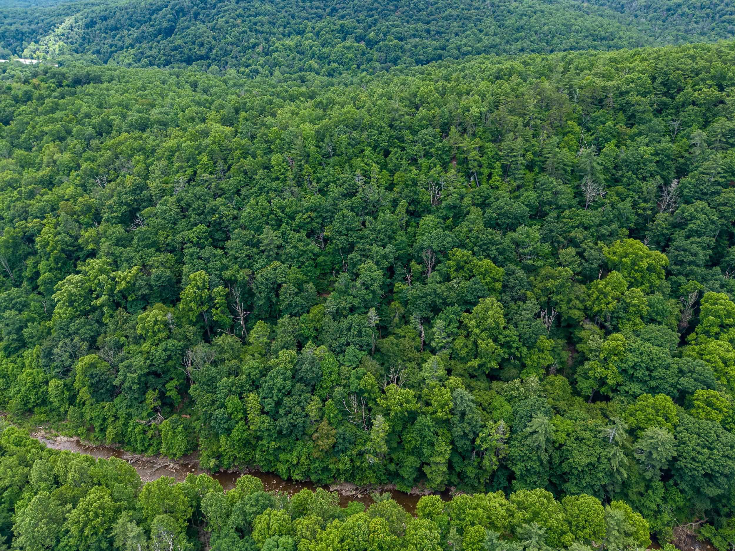 5 RABBITS FOOT RD, HINTON, Virginia 22831, ,Land,5 RABBITS FOOT RD,678710 MLS # 678710