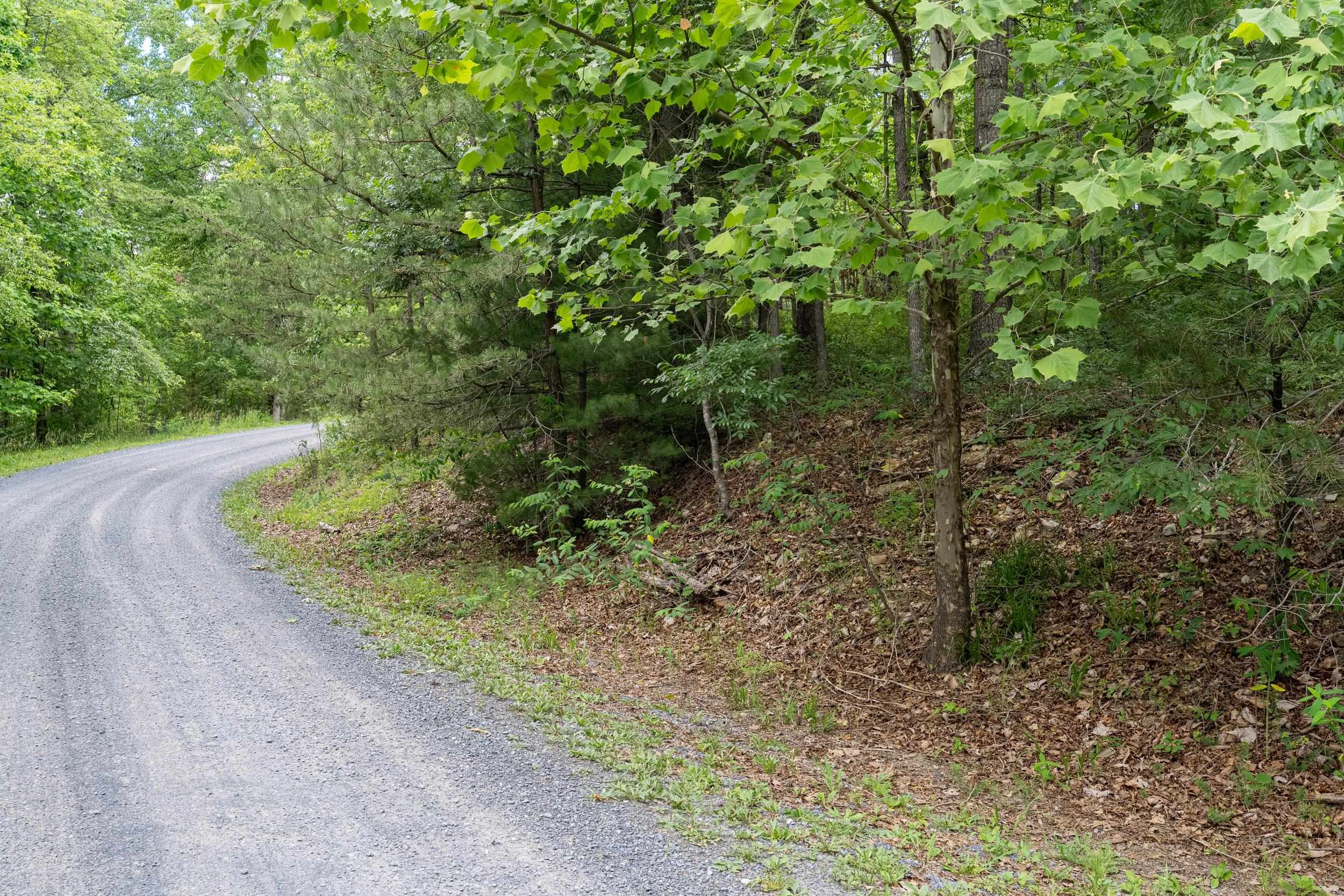 5 RABBITS FOOT RD, HINTON, Virginia 22831, ,Land,5 RABBITS FOOT RD,678710 MLS # 678710
