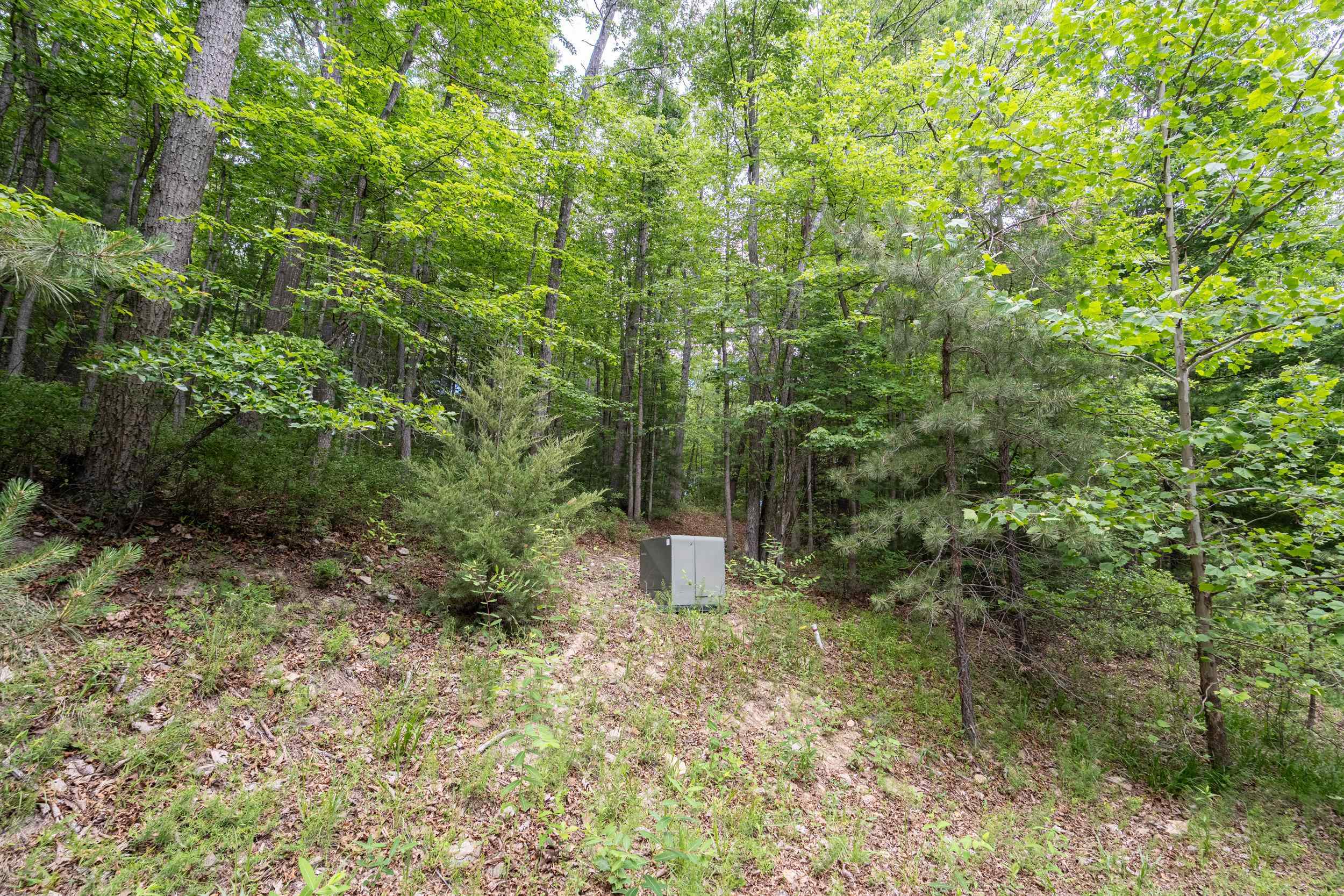 5 RABBITS FOOT RD, HINTON, Virginia 22831, ,Land,5 RABBITS FOOT RD,678710 MLS # 678710