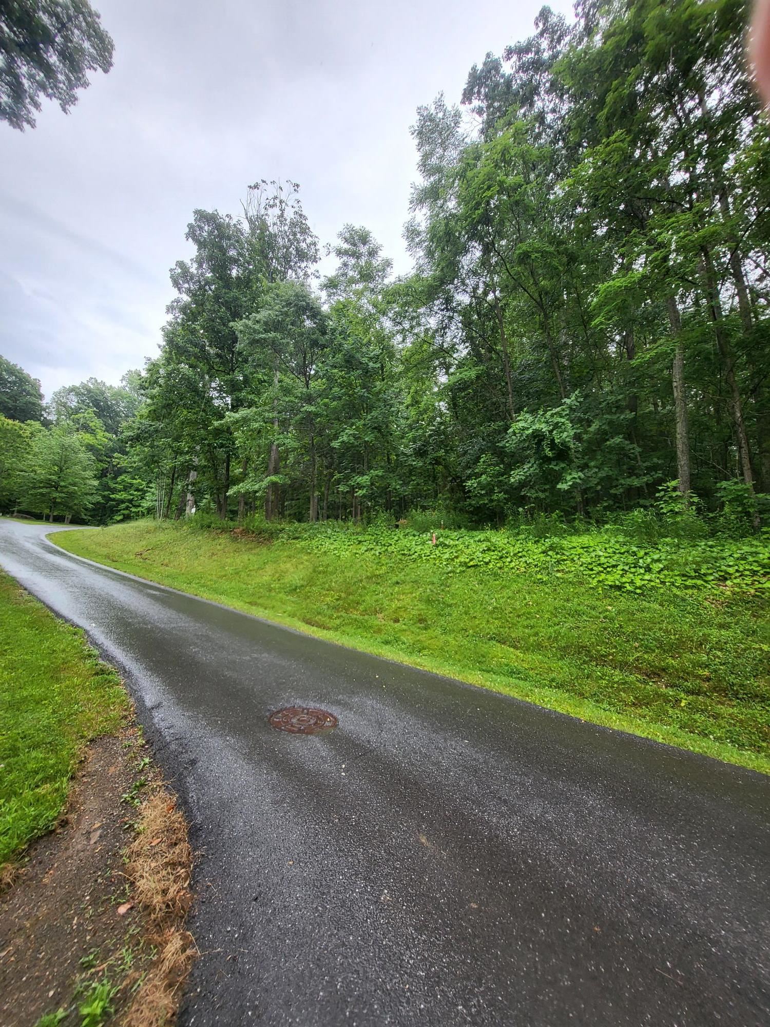 Lot 50 DONALD ROSS TRL, HOT SPRINGS, Virginia 24445, ,Land,Lot 50 DONALD ROSS TRL,678713 MLS # 678713