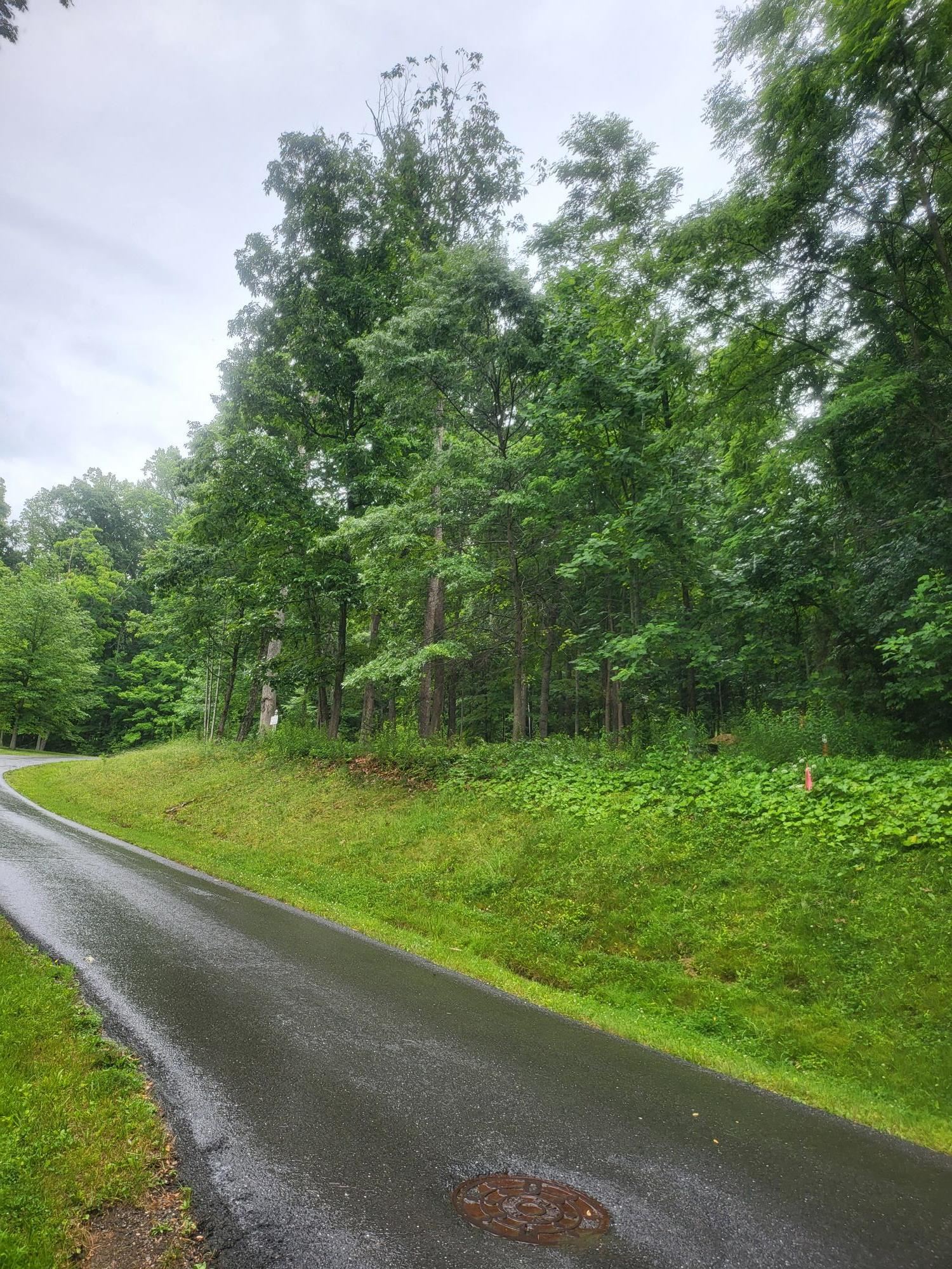 Lot 50 DONALD ROSS TRL, HOT SPRINGS, Virginia 24445, ,Land,Lot 50 DONALD ROSS TRL,678713 MLS # 678713