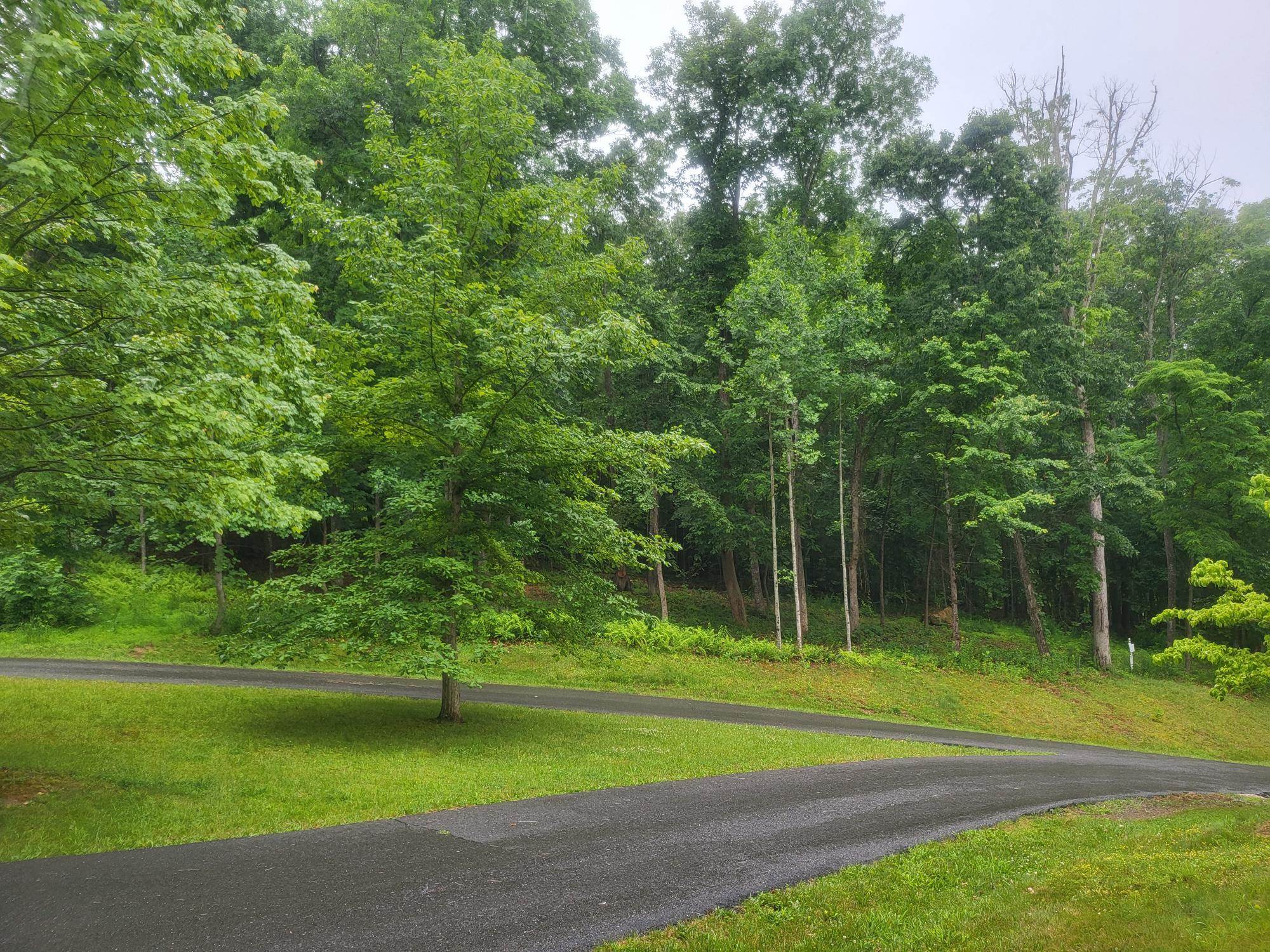 Lot 50 DONALD ROSS TRL, HOT SPRINGS, Virginia 24445, ,Land,Lot 50 DONALD ROSS TRL,678713 MLS # 678713