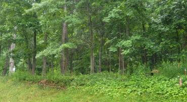 Lot 50 DONALD ROSS TRL, HOT SPRINGS, Virginia 24445, ,Land,Lot 50 DONALD ROSS TRL,678713 MLS # 678713