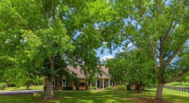 19507 CLAIR MANOR DR, CULPEPER, Virginia 22701, 4 Bedrooms Bedrooms, ,2 BathroomsBathrooms,Residential,19507 CLAIR MANOR DR,VACU2014026 MLS # VACU2014026