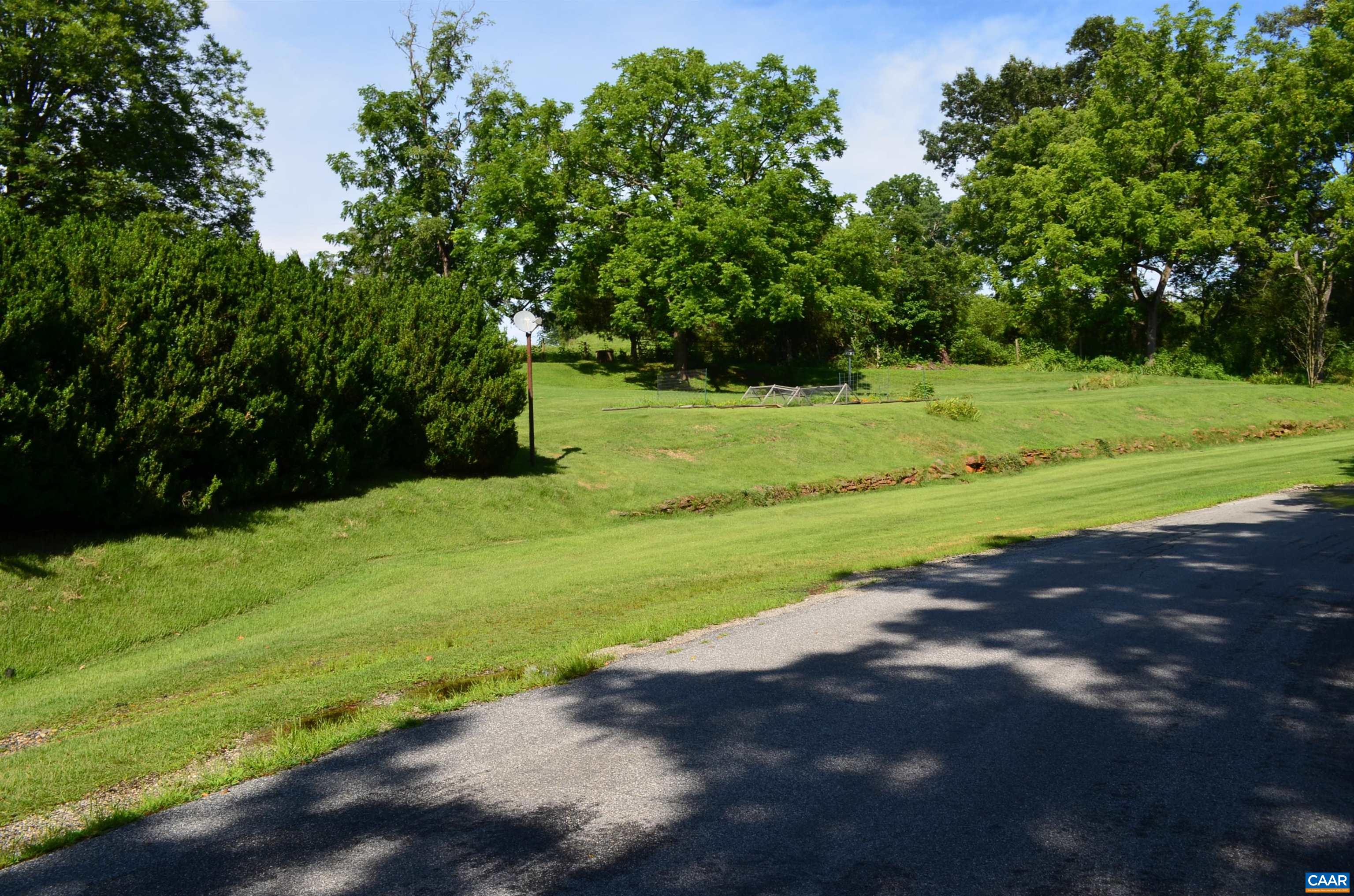 Boxwoods provide privacy