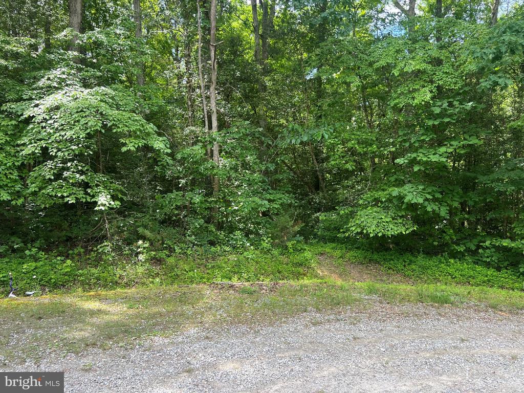5517 FOREST VIEW DR, PARTLOW, Virginia 22534, ,Land,5517 FOREST VIEW DR,VASP2043072 MLS # VASP2043072 5517 FOREST VIEW DR, PARTLOW, Virginia 22534, ,Land,5517 FOREST VIEW DR,VASP2043072 MLS # VASP2043072