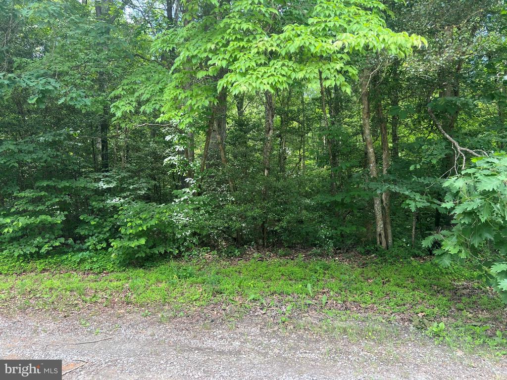 5517 FOREST VIEW DR, PARTLOW, Virginia 22534, ,Land,5517 FOREST VIEW DR,VASP2043072 MLS # VASP2043072 5517 FOREST VIEW DR, PARTLOW, Virginia 22534, ,Land,5517 FOREST VIEW DR,VASP2043072 MLS # VASP2043072
