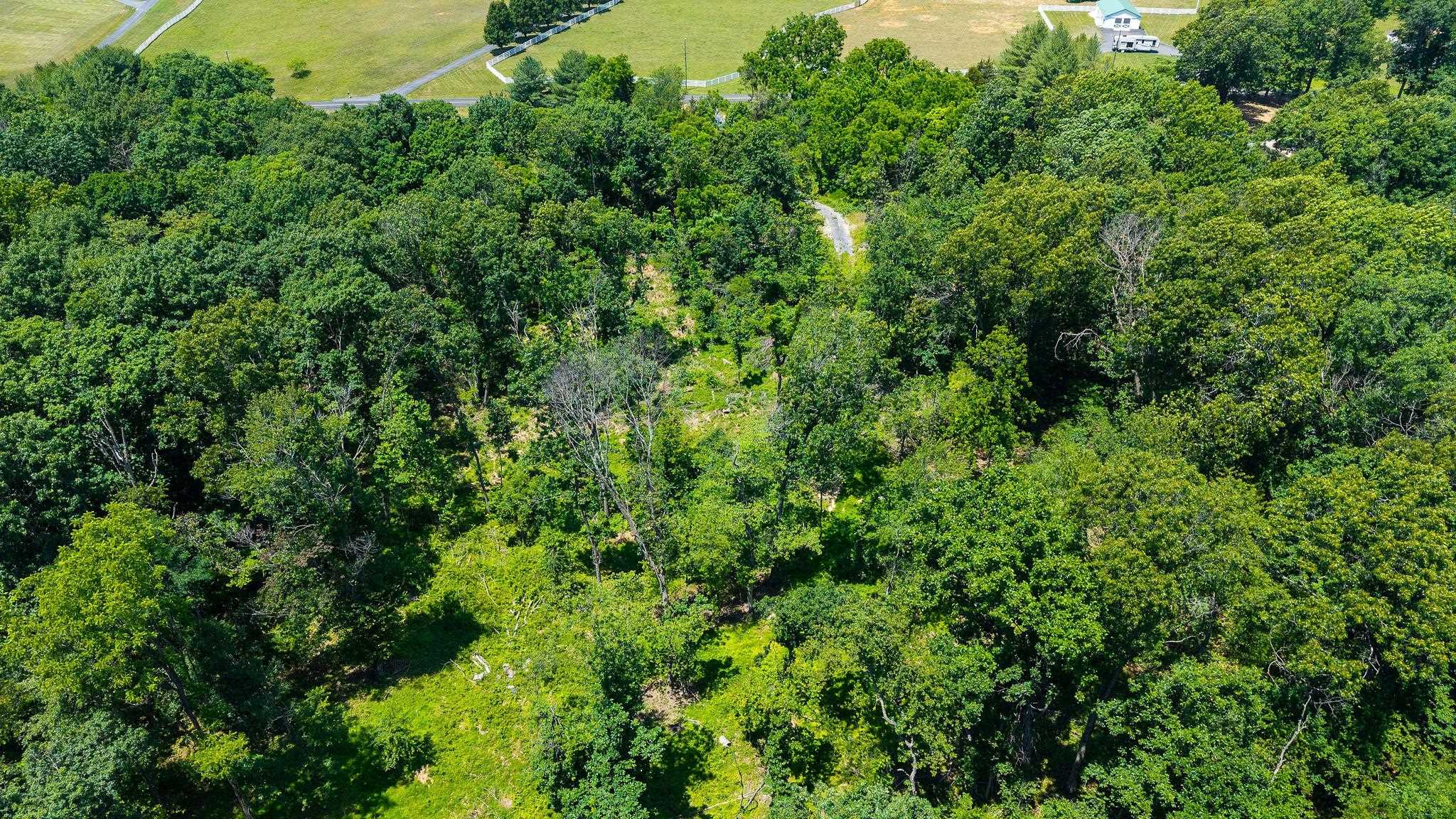 MORRIS MILL RD, STAUNTON, Virginia 24401, ,Land,MORRIS MILL RD,678728 MLS # 678728 MORRIS MILL RD, STAUNTON, Virginia 24401, ,Land,MORRIS MILL RD,678728 MLS # 678728