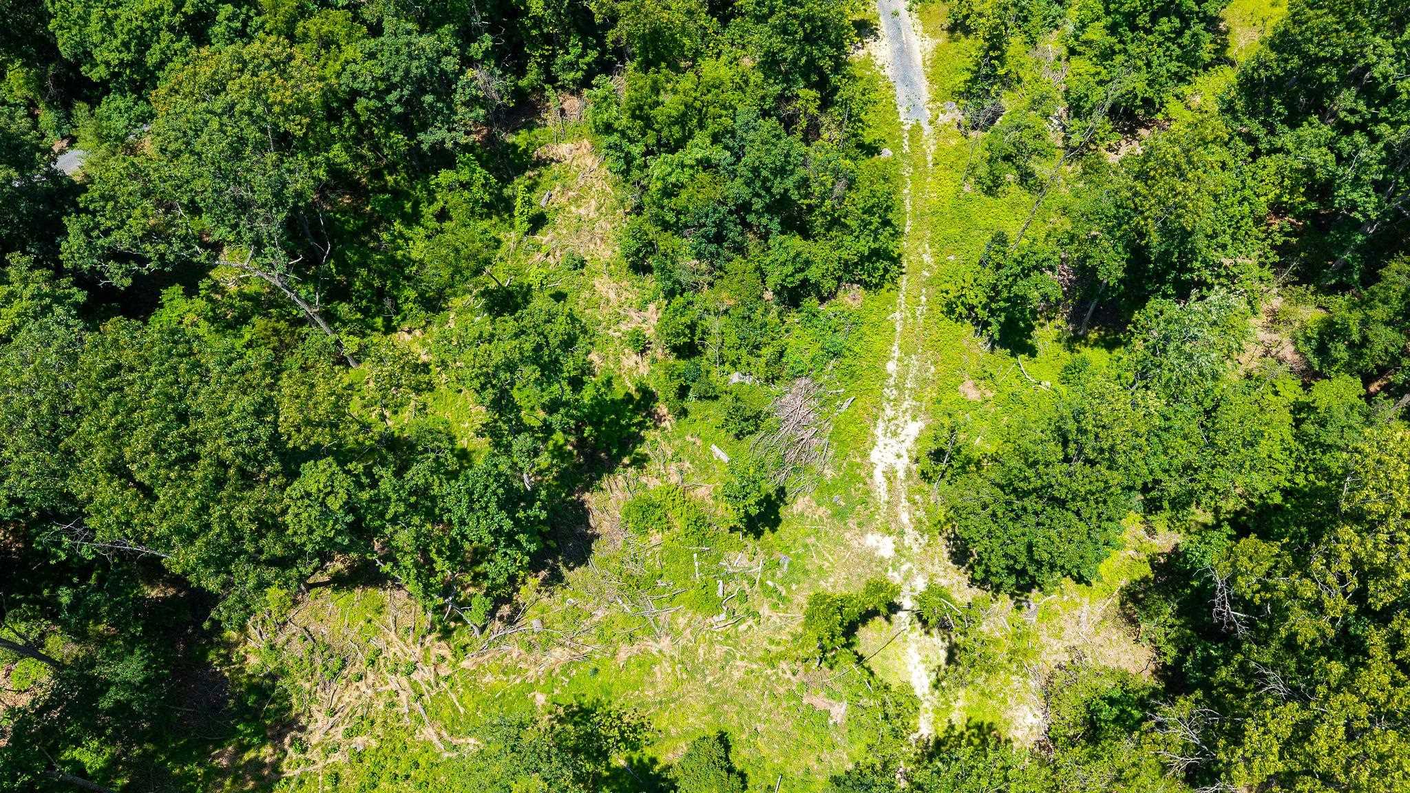 MORRIS MILL RD, STAUNTON, Virginia 24401, ,Land,MORRIS MILL RD,678728 MLS # 678728 MORRIS MILL RD, STAUNTON, Virginia 24401, ,Land,MORRIS MILL RD,678728 MLS # 678728