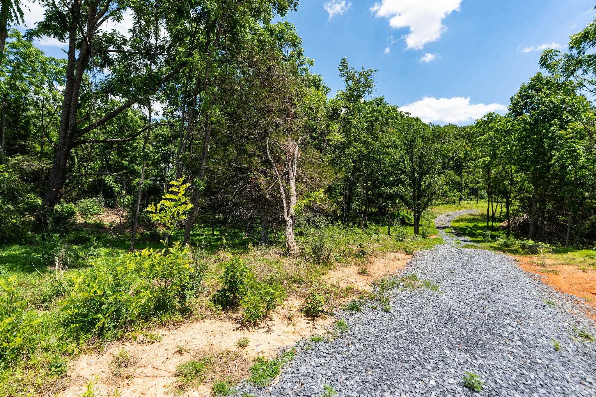 MORRIS MILL RD, STAUNTON, Virginia 24401, ,Land,MORRIS MILL RD,678728 MLS # 678728 MORRIS MILL RD, STAUNTON, Virginia 24401, ,Land,MORRIS MILL RD,678728 MLS # 678728