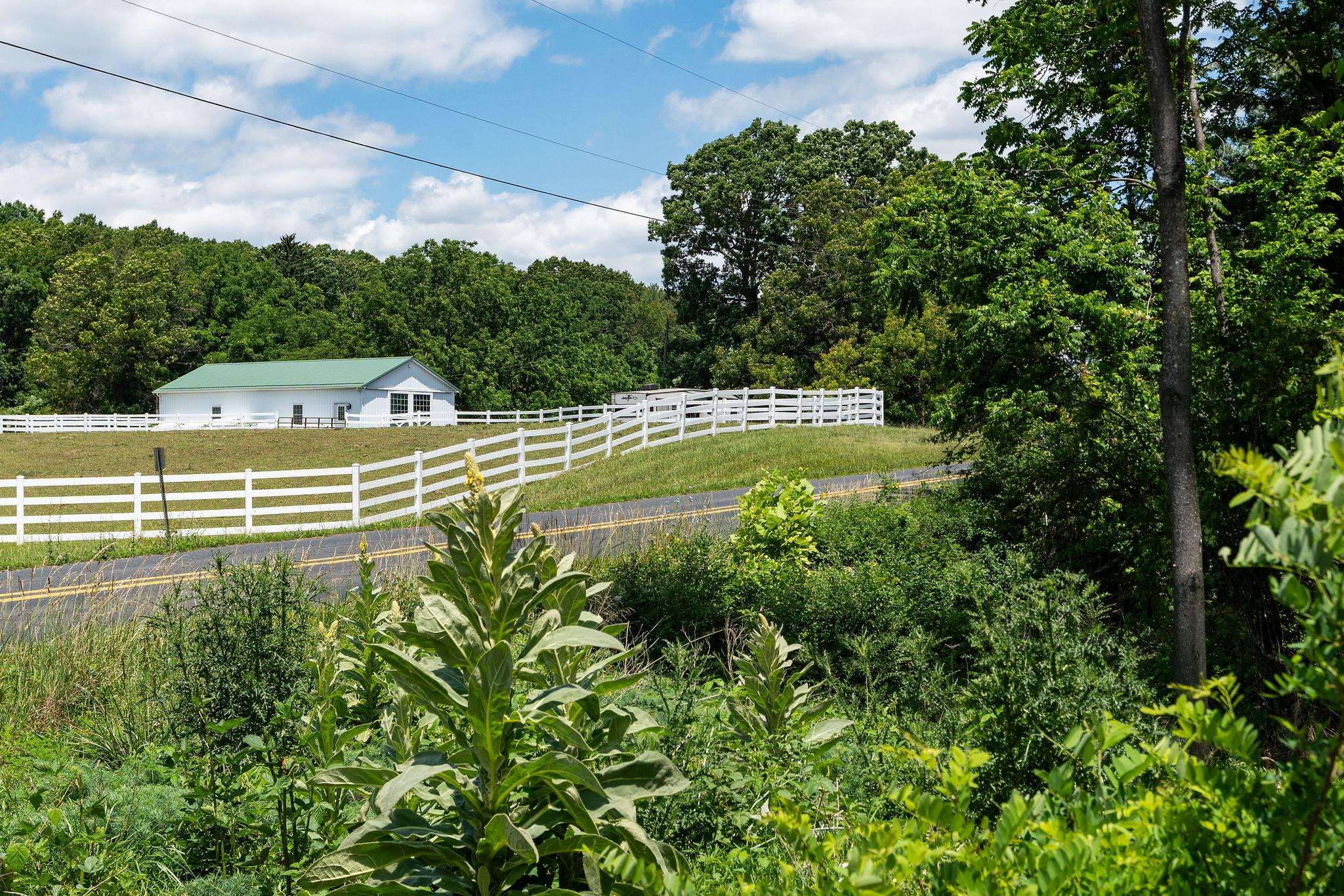 MORRIS MILL RD, STAUNTON, Virginia 24401, ,Land,MORRIS MILL RD,678728 MLS # 678728 MORRIS MILL RD, STAUNTON, Virginia 24401, ,Land,MORRIS MILL RD,678728 MLS # 678728