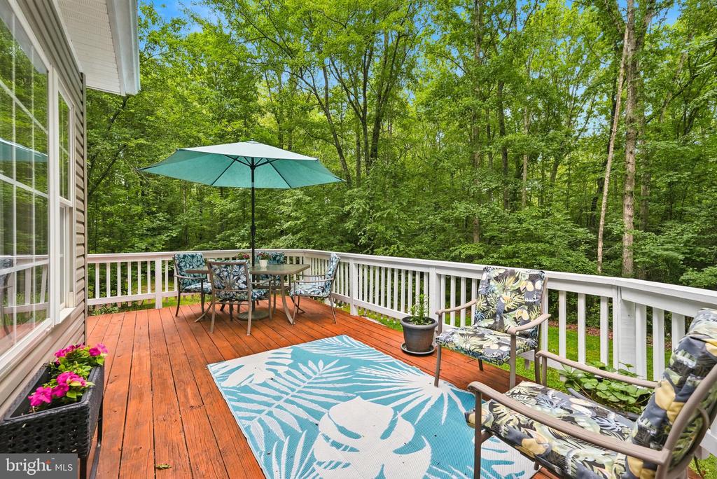 19202 WOODSIDE LN, JEFFERSONTON, Virginia 22724, 4 Bedrooms Bedrooms, ,2 BathroomsBathrooms,Residential,19202 WOODSIDE LN,VACU2013718 MLS # VACU2013718