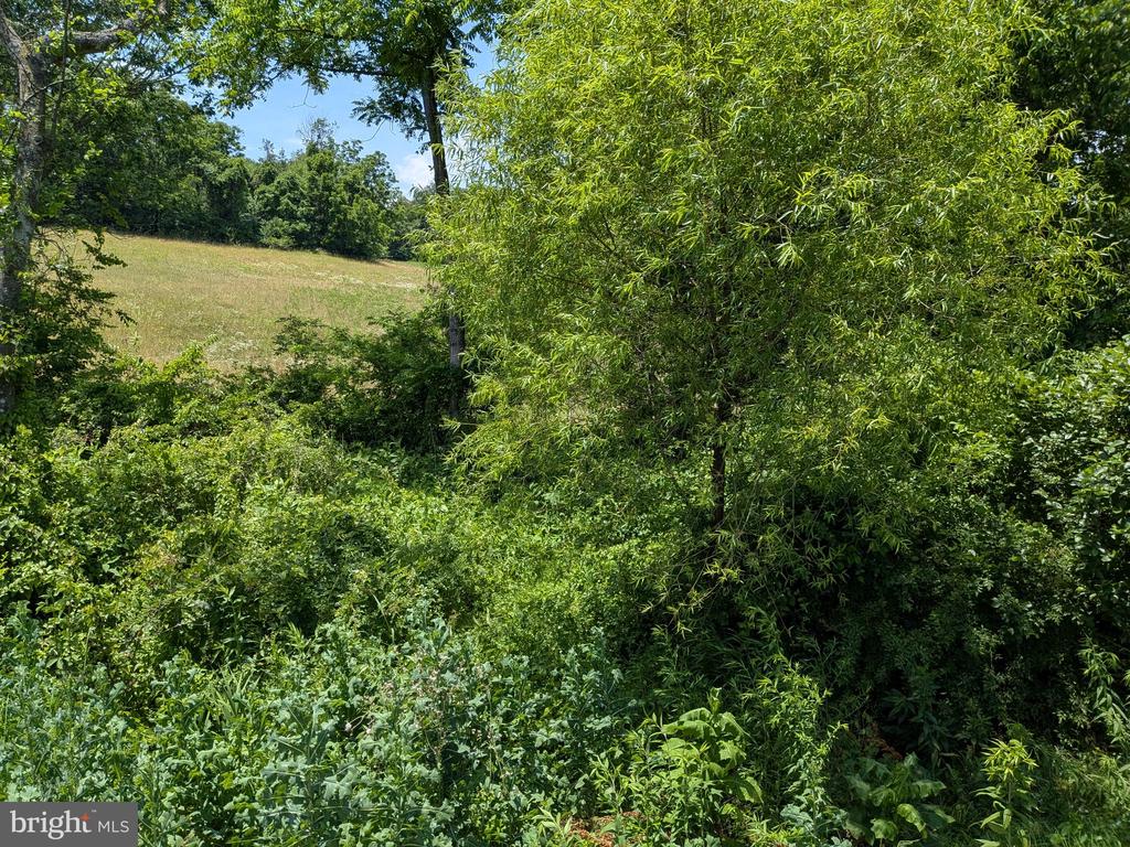 10198 OLD RAPIDAN RD, ORANGE, Virginia 22960, 3 Bedrooms Bedrooms, ,1 BathroomBathrooms,Residential,10198 OLD RAPIDAN RD,VAOR2014542 MLS # VAOR2014542