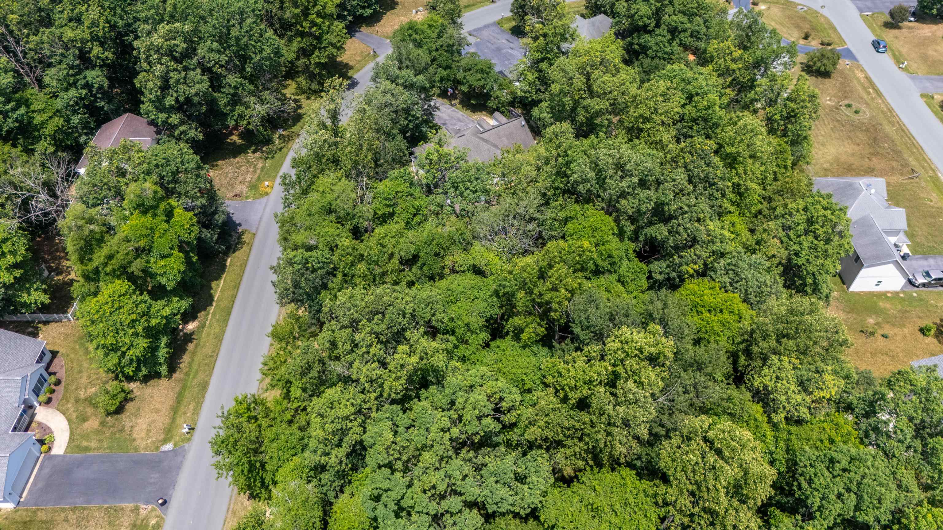 30 RUTHERFORD LN, STUARTS DRAFT, Virginia 24477, 5 Bedrooms Bedrooms, ,3 BathroomsBathrooms,Residential,30 RUTHERFORD LN,678743 MLS # 678743 30 RUTHERFORD LN, STUARTS DRAFT, Virginia 24477, 5 Bedrooms Bedrooms, ,3 BathroomsBathrooms,Residential,30 RUTHERFORD LN,678743 MLS # 678743