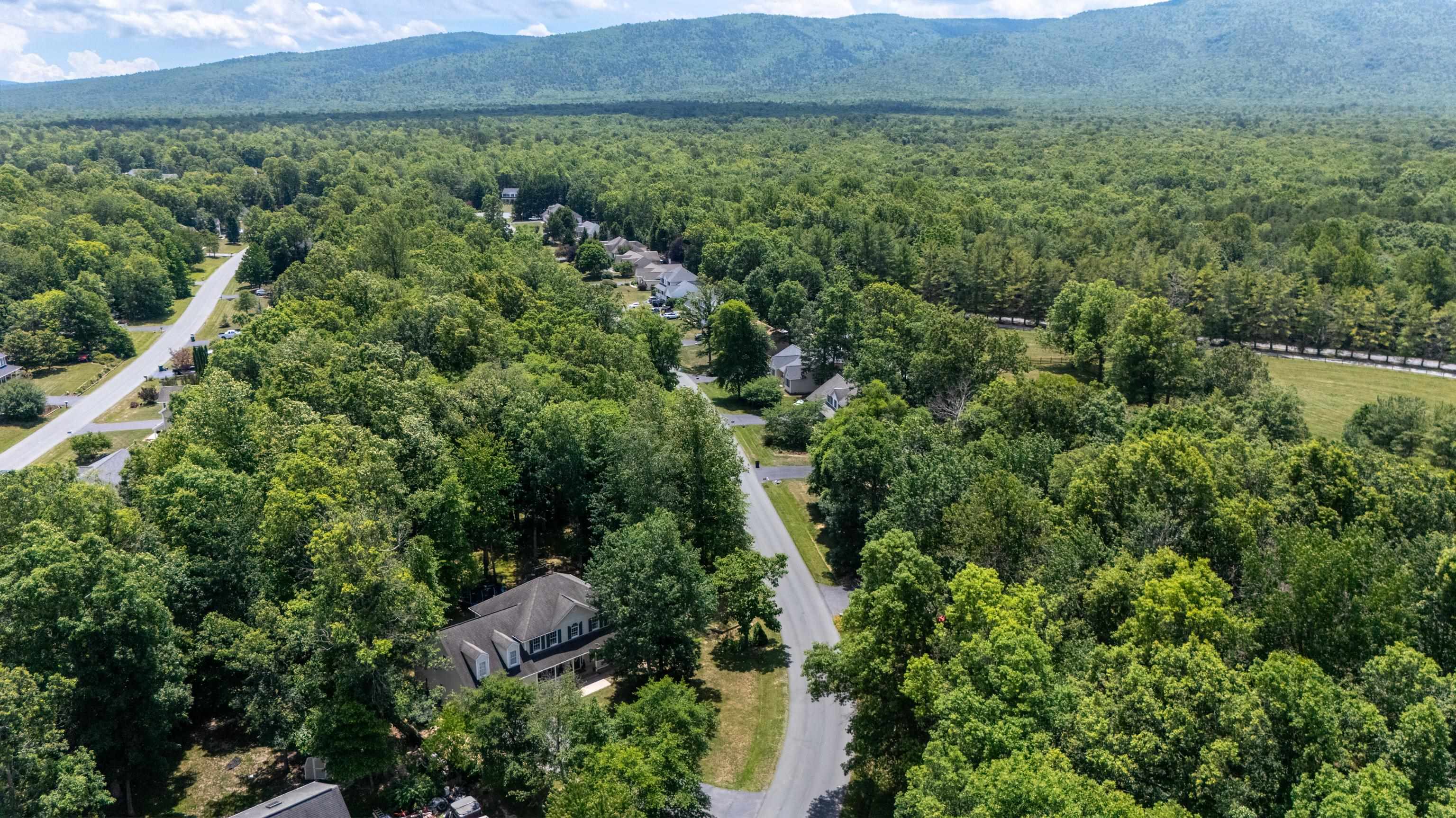 30 RUTHERFORD LN, STUARTS DRAFT, Virginia 24477, 5 Bedrooms Bedrooms, ,3 BathroomsBathrooms,Residential,30 RUTHERFORD LN,678743 MLS # 678743 30 RUTHERFORD LN, STUARTS DRAFT, Virginia 24477, 5 Bedrooms Bedrooms, ,3 BathroomsBathrooms,Residential,30 RUTHERFORD LN,678743 MLS # 678743