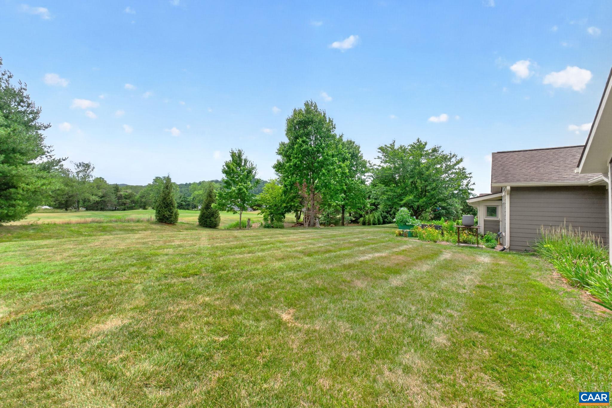 Large backyard.
