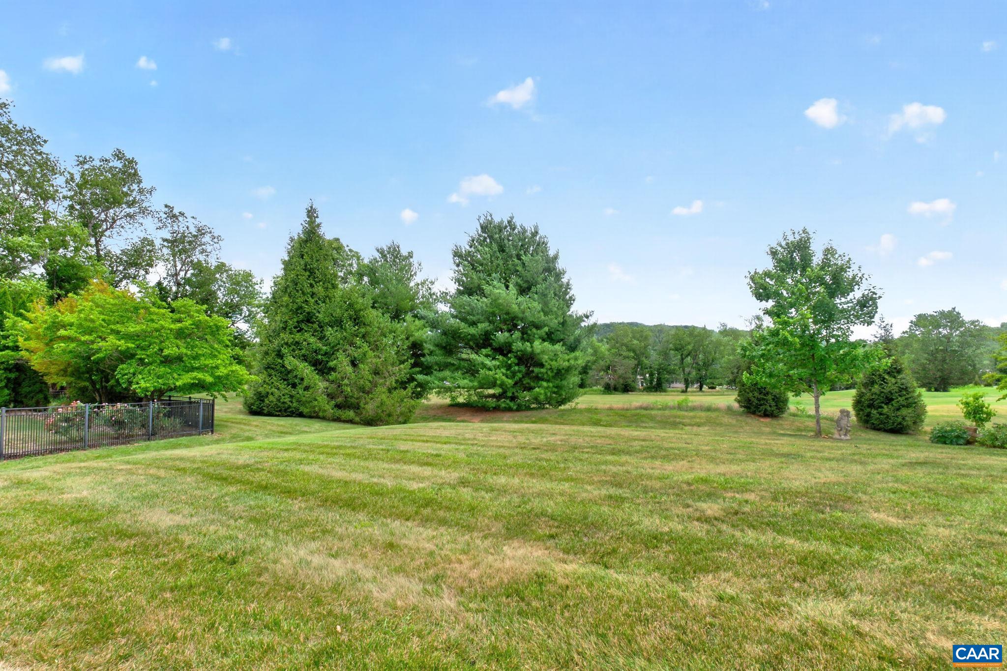 Backyard.