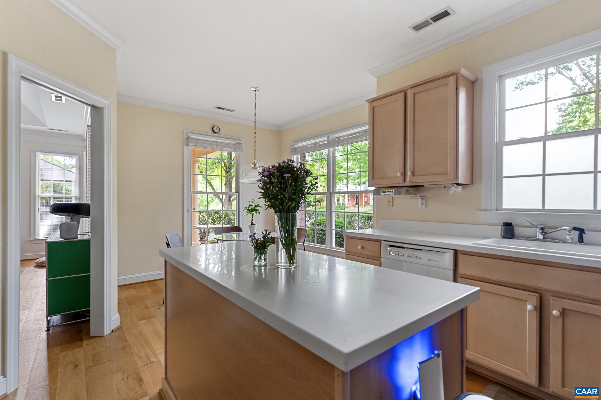 1147 MARION DR, CHARLOTTESVILLE, Virginia 22903, 4 Bedrooms Bedrooms, ,3 BathroomsBathrooms,Residential,1147 MARION DR,678768 MLS # 678768