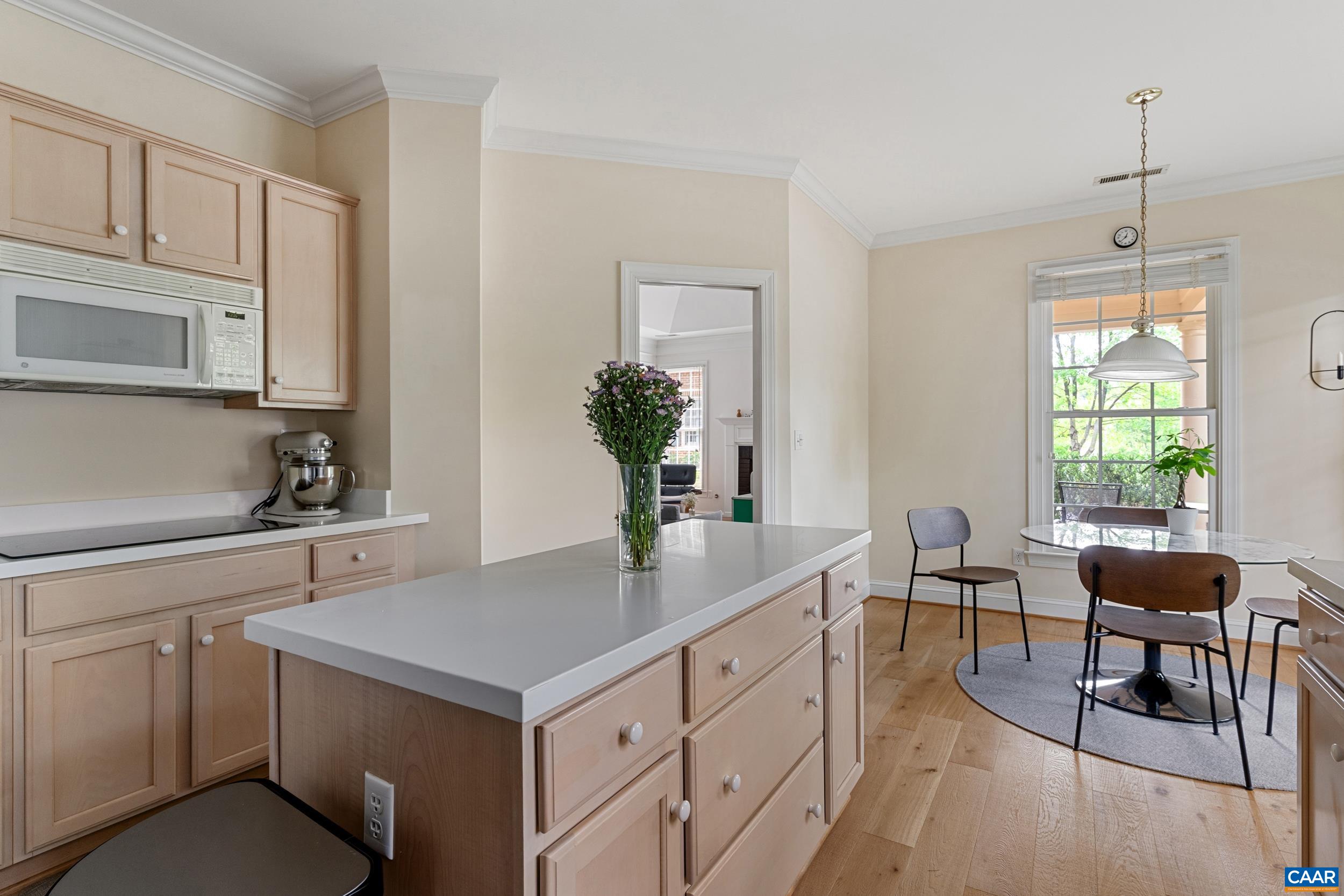 1147 MARION DR, CHARLOTTESVILLE, Virginia 22903, 4 Bedrooms Bedrooms, ,3 BathroomsBathrooms,Residential,1147 MARION DR,678768 MLS # 678768