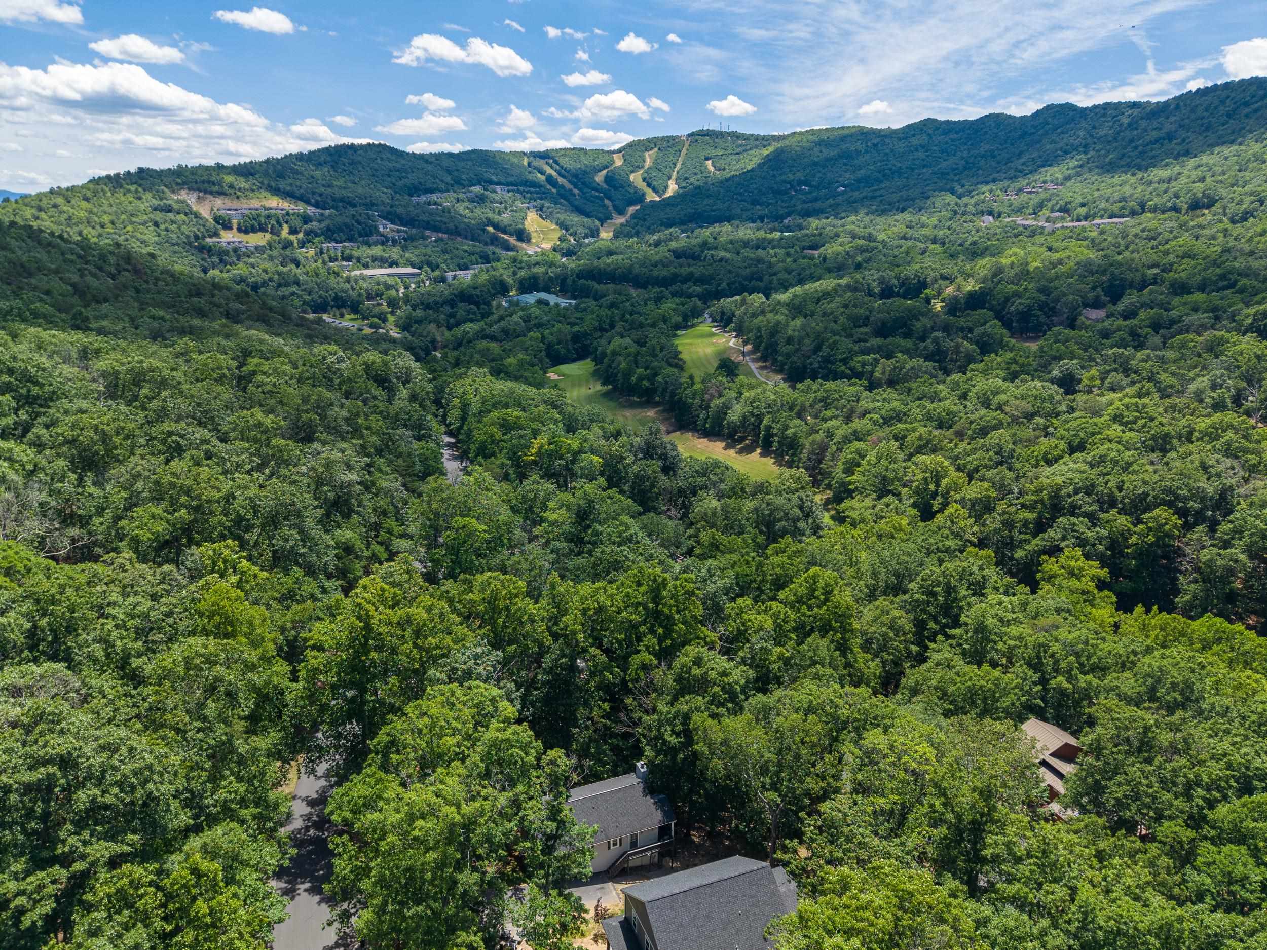 4241 PALMER RD, MCGAHEYSVILLE, Virginia 22840, 5 Bedrooms Bedrooms, ,3 BathroomsBathrooms,Residential,4241 PALMER RD,678773 MLS # 678773