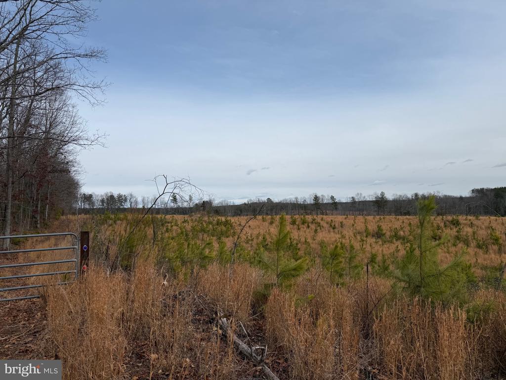 COMMUNITY HOUSE RD, Virginia 23084, ,Land,COMMUNITY HOUSE RD,VAFN2000702 MLS # VAFN2000702