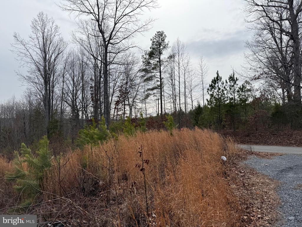 COMMUNITY HOUSE RD, Virginia 23084, ,Land,COMMUNITY HOUSE RD,VAFN2000702 MLS # VAFN2000702