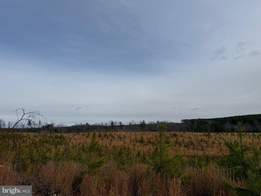 COMMUNITY HOUSE RD, Virginia 23084, ,Land,COMMUNITY HOUSE RD,VAFN2000702 MLS # VAFN2000702
