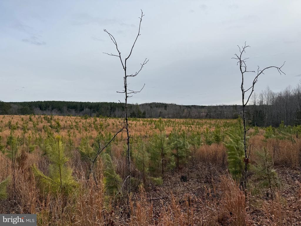 COMMUNITY HOUSE RD, Virginia 23084, ,Land,COMMUNITY HOUSE RD,VAFN2000702 MLS # VAFN2000702