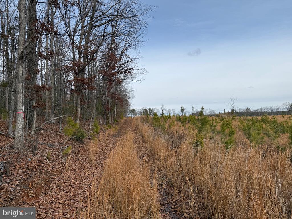 COMMUNITY HOUSE RD, Virginia 23084, ,Land,COMMUNITY HOUSE RD,VAFN2000702 MLS # VAFN2000702