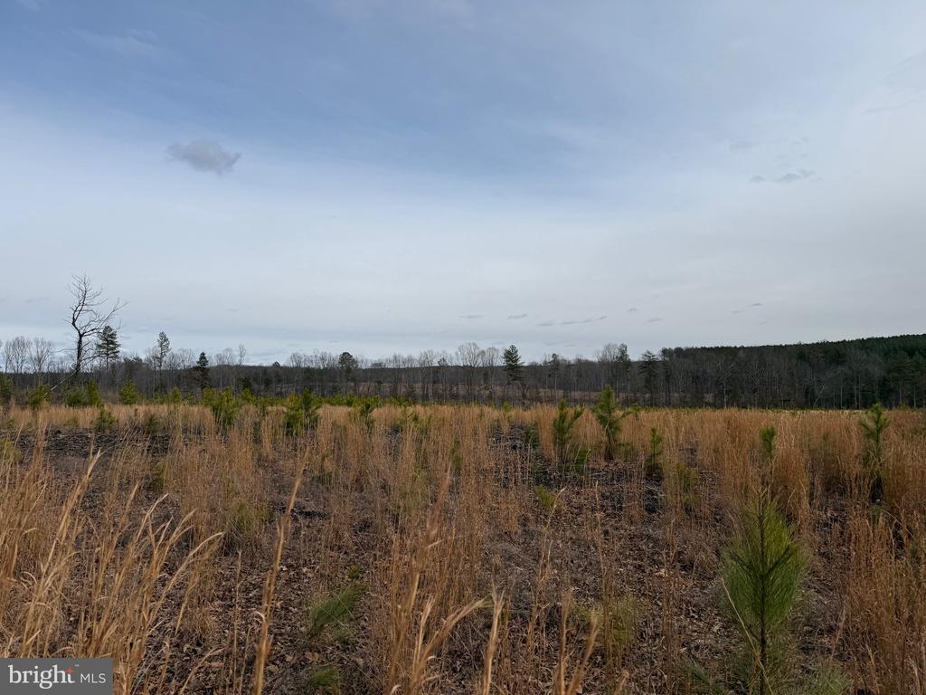 COMMUNITY HOUSE RD, Virginia 23084, ,Land,COMMUNITY HOUSE RD,VAFN2000702 MLS # VAFN2000702