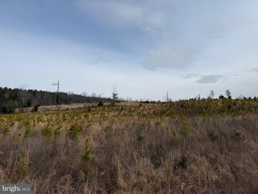 COMMUNITY HOUSE RD, Virginia 23084, ,Land,COMMUNITY HOUSE RD,VAFN2000702 MLS # VAFN2000702
