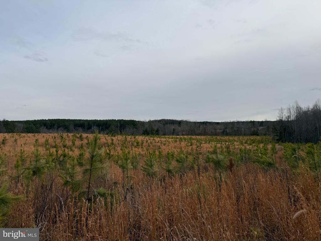 COMMUNITY HOUSE RD, Virginia 23084, ,Land,COMMUNITY HOUSE RD,VAFN2000702 MLS # VAFN2000702