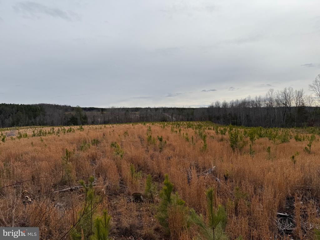 COMMUNITY HOUSE RD, Virginia 23084, ,Land,COMMUNITY HOUSE RD,VAFN2000702 MLS # VAFN2000702
