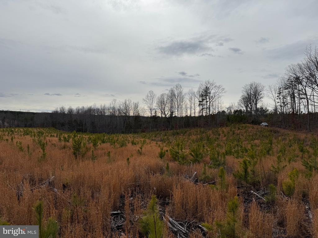COMMUNITY HOUSE RD, Virginia 23084, ,Land,COMMUNITY HOUSE RD,VAFN2000702 MLS # VAFN2000702