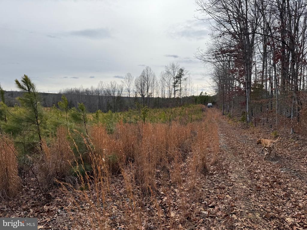 COMMUNITY HOUSE RD, Virginia 23084, ,Land,COMMUNITY HOUSE RD,VAFN2000702 MLS # VAFN2000702