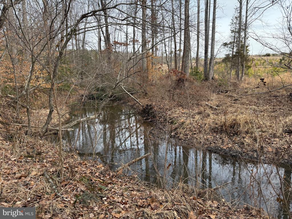 COMMUNITY HOUSE RD, Virginia 23084, ,Land,COMMUNITY HOUSE RD,VAFN2000702 MLS # VAFN2000702