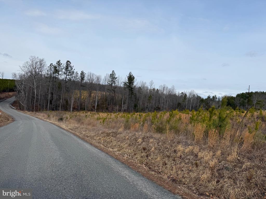 COMMUNITY HOUSE RD, Virginia 23084, ,Land,COMMUNITY HOUSE RD,VAFN2000702 MLS # VAFN2000702