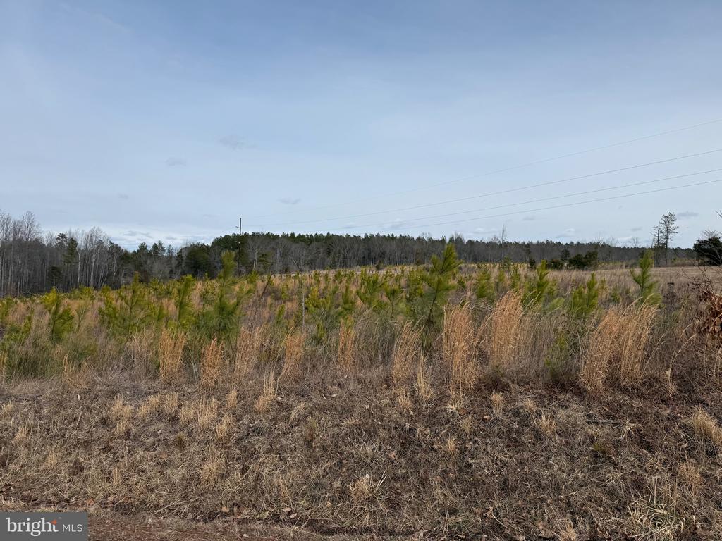 COMMUNITY HOUSE RD, Virginia 23084, ,Land,COMMUNITY HOUSE RD,VAFN2000702 MLS # VAFN2000702