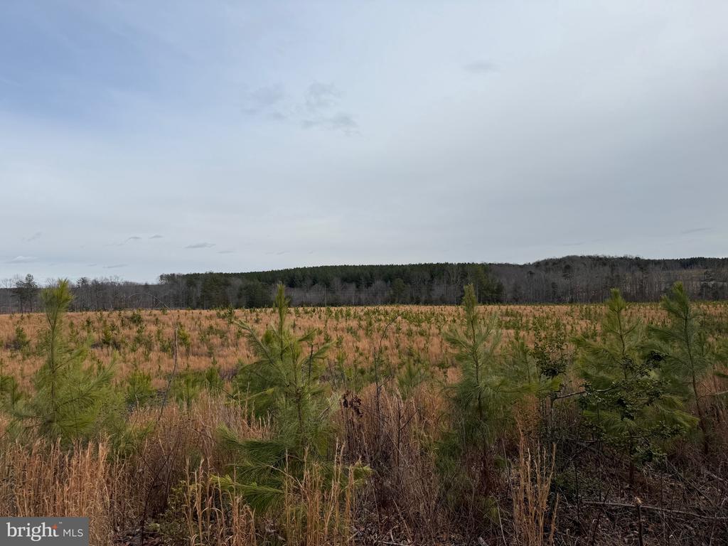 COMMUNITY HOUSE RD, Virginia 23084, ,Land,COMMUNITY HOUSE RD,VAFN2000702 MLS # VAFN2000702