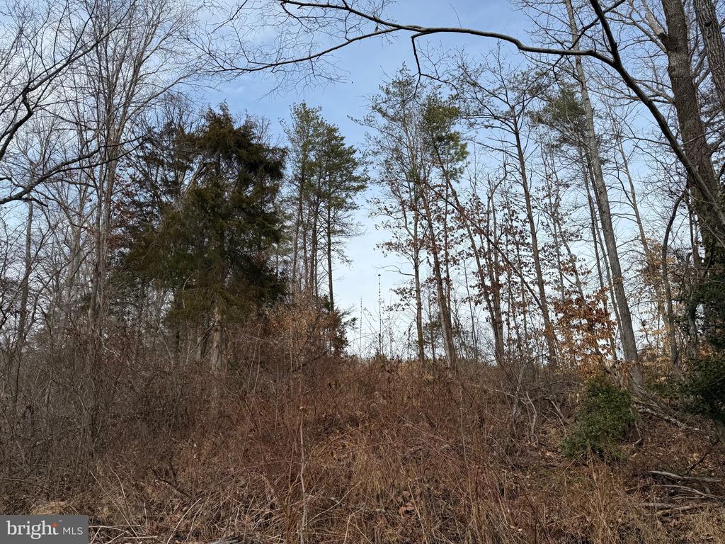 COMMUNITY HOUSE RD, Virginia 23084, ,Land,COMMUNITY HOUSE RD,VAFN2000702 MLS # VAFN2000702