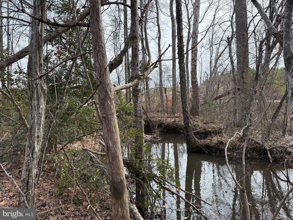 COMMUNITY HOUSE RD, Virginia 23084, ,Land,COMMUNITY HOUSE RD,VAFN2000702 MLS # VAFN2000702