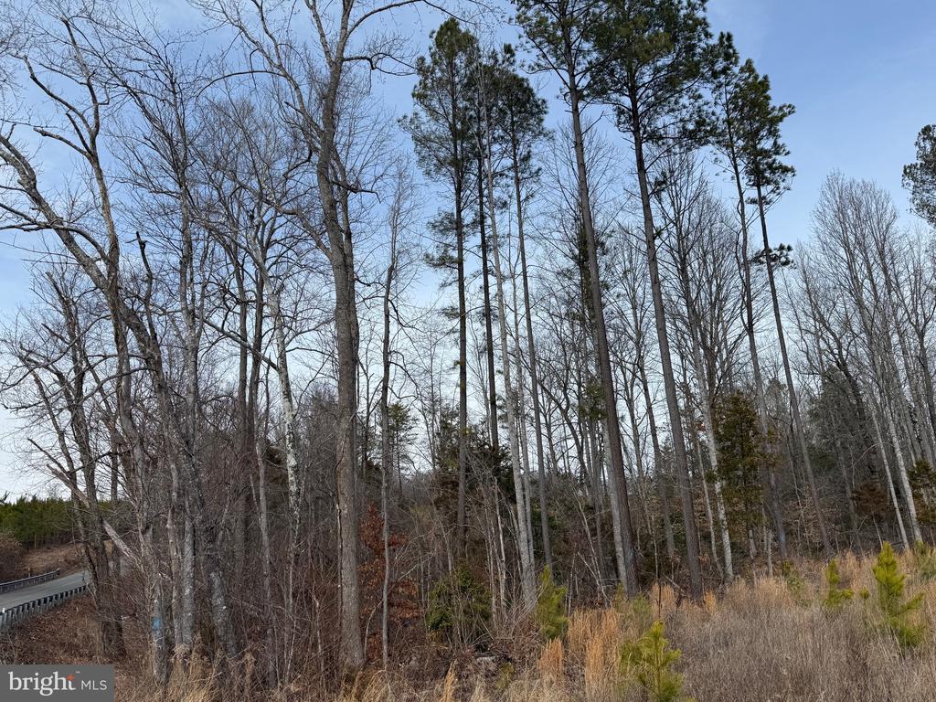 COMMUNITY HOUSE RD, Virginia 23084, ,Land,COMMUNITY HOUSE RD,VAFN2000702 MLS # VAFN2000702