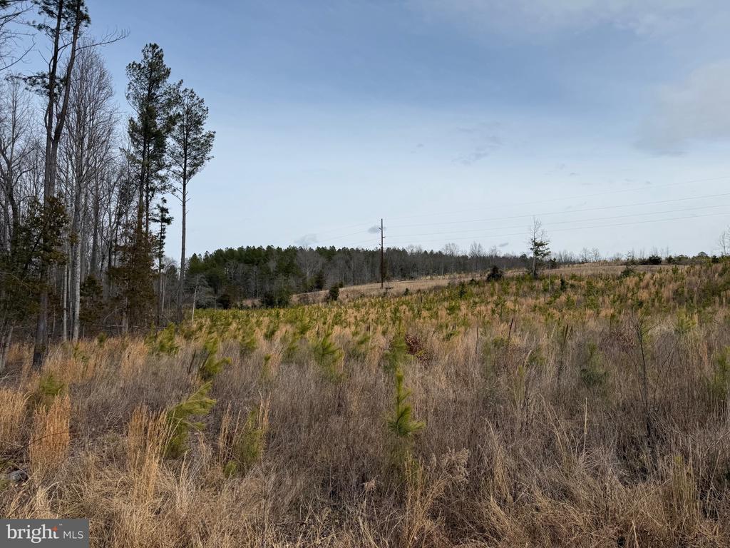 COMMUNITY HOUSE RD, Virginia 23084, ,Land,COMMUNITY HOUSE RD,VAFN2000702 MLS # VAFN2000702