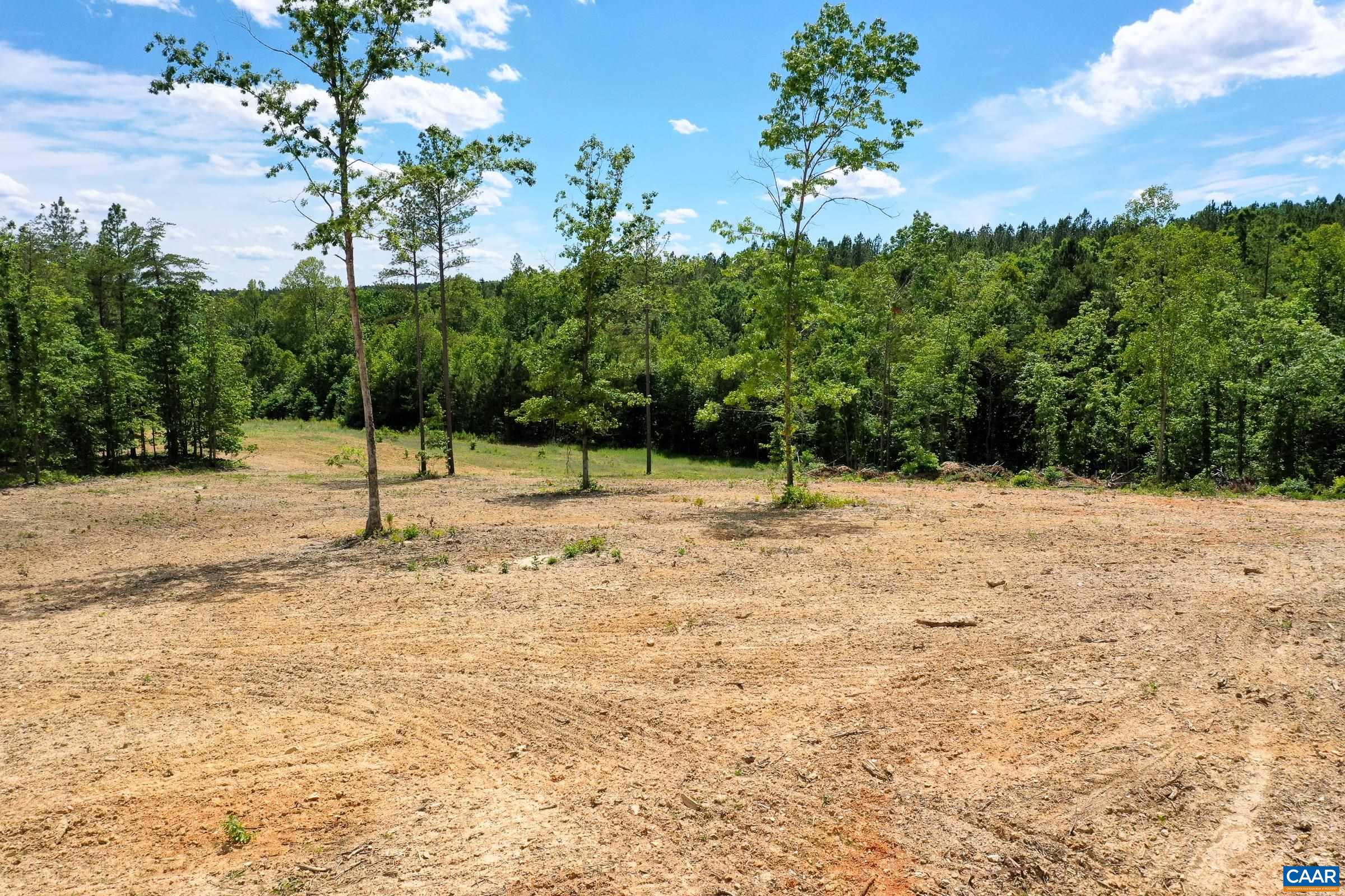 0 MT ALTO RD, ESMONT, Virginia 22937, ,Land,0 MT ALTO RD,678787 MLS # 678787
